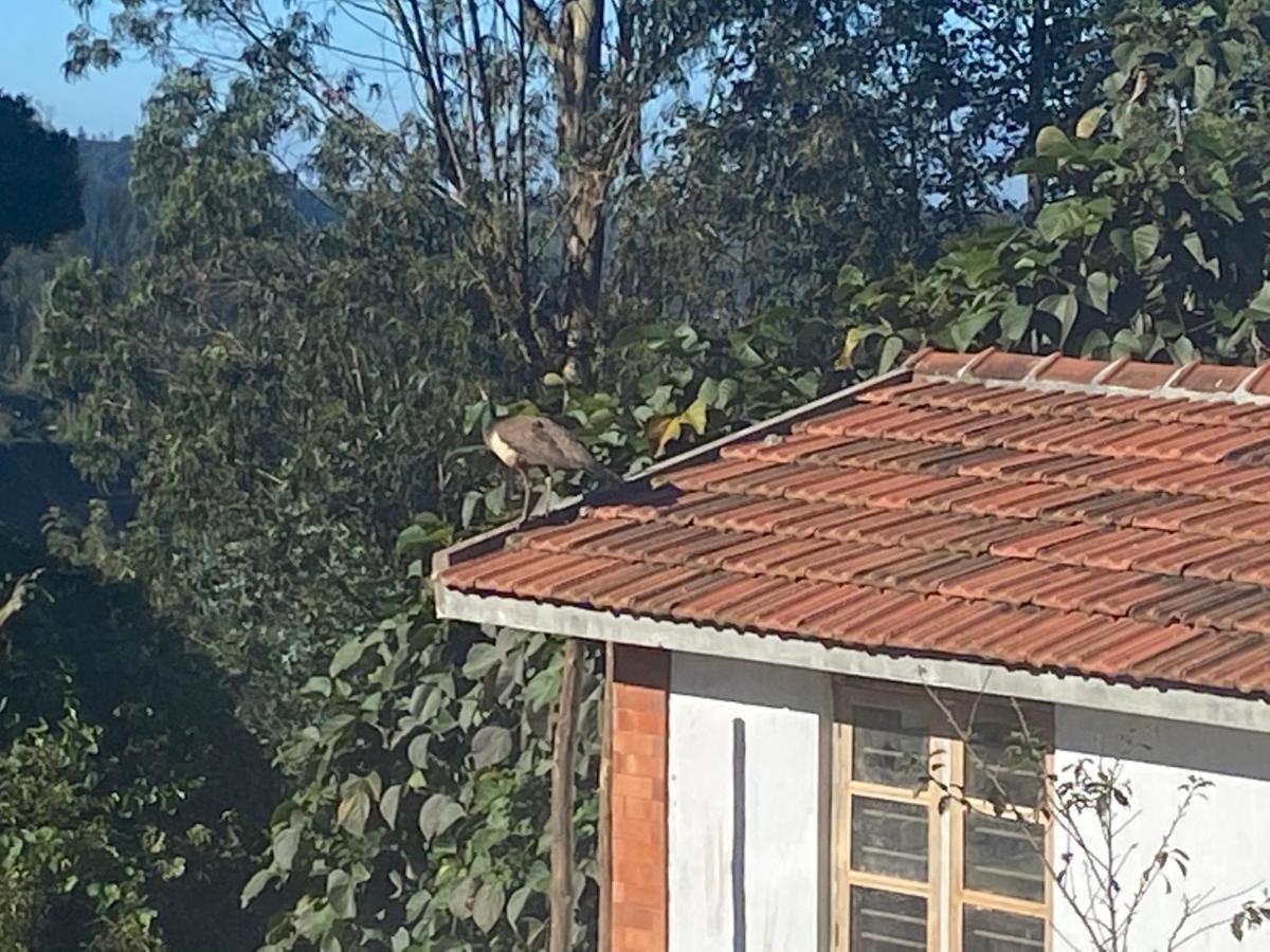 Kanjira House Ooty Kültér fotó