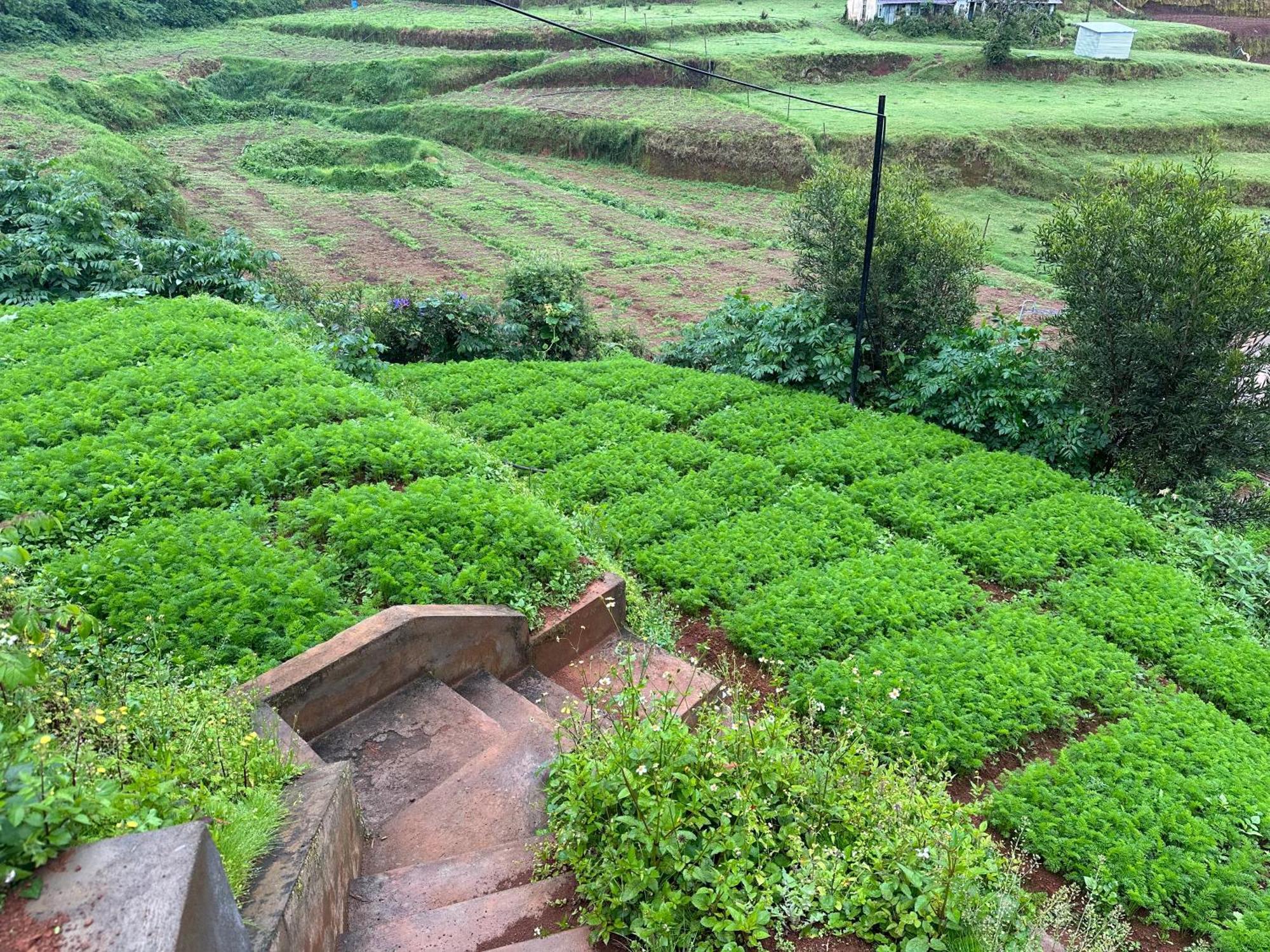 Kanjira House Ooty Kültér fotó